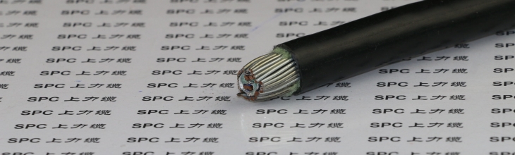 PVVP22聚氯乙烯絕緣聚氯乙烯護(hù)套編織屏蔽鋼帶鎧裝信號電纜