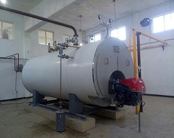 蒸汽鍋爐成功案例